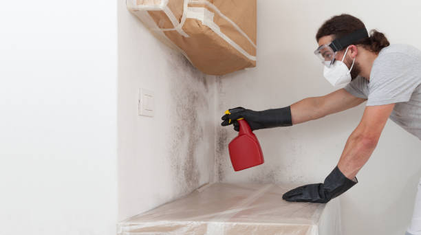 Professional Bathroom Mold Removal technician working in Morganville, NJ