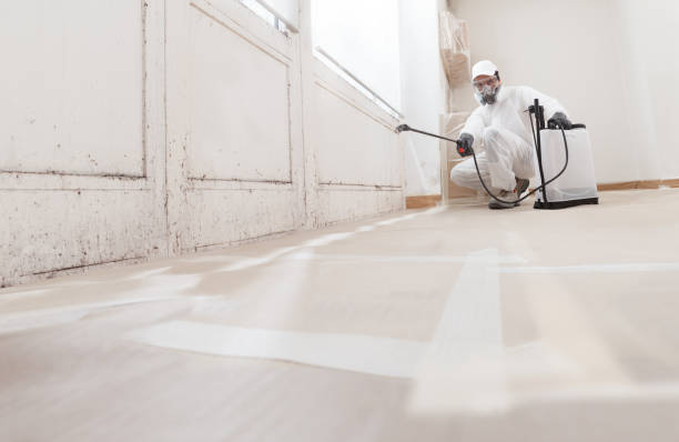 24/7 Emergency Bathroom Mold Removal experts in Morganville, NJ